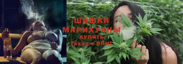хмурый Ладушкин
