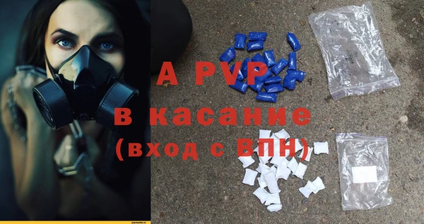 хмурый Ладушкин