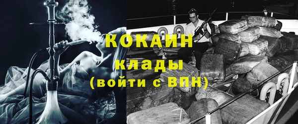 хмурый Ладушкин