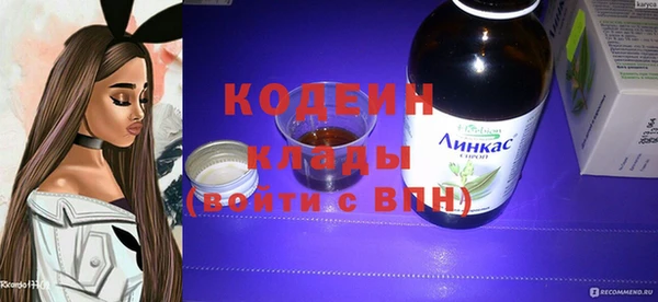 хмурый Ладушкин